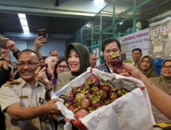 5 Tahun Ditangguhkan, Kini Manggis Indonesia Bisa Tembus Pasar Tiongkok