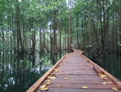 Yuk Mengenal Bontang Mangrove Park, Wisata Edukasi di Bontang