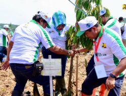 Tingkatkan Konservasi Lahan dan Air, Kementerian PUPR Tanam 126 Ribu Pohon Serentak di 34 Provinsi