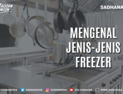 Mengenal Jenis-Jenis Freezer