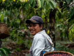 Investree Mengumumkan Kemitraan ‘Green Financing’ Dengan Java Mountain Coffee Untuk Pemberdayaan Petani Perempuan Di Pedesaan