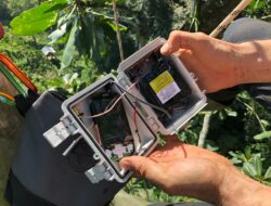 Huawei X Rainforest Connection, Kolaborasi Teknologi Untuk Melindungi Hutan Sumatera