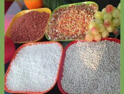 Investigasi Safeguard Dihentikan, Produk Complex Fertilizer dan Certain Nitrogen Fertilizer Indonesia Berpotensi Masuk Pasar Ukraina