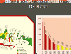 Hingga Juli, Kasus DBD di Indonesia Capai 71 Ribu