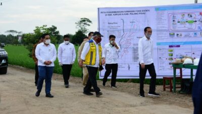 Presiden Jokowi Tinjau Lahan Potensial Food Estate di Kalteng, Pekerjaan Irigasi Jadi Tahap Awal Pengembangan
