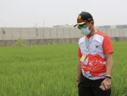 Kementan RI : Mentan Dorong Urban Farming di Jakarta