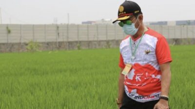 Kementan RI : Mentan Dorong Urban Farming di Jakarta