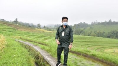 Gairahkan Agrowisata Jatiluwih, Mentan SYL Dorong Mina Padi