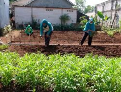 Pengembangan EcoVillage untuk Meningkatkan Kualitas Hidup * PT Karabha Digdaya Ajak Warga Tapos Kembangkan Kebun Sayur dan Abon Lele