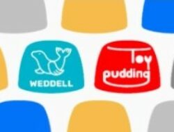 Perusahaan Korea Selatan Weddell dan Toypudding Bekerjasama Untuk Menghadirkan Konten Pertumbuhan Anak Yang Terpercaya Bagi Orang Tua  di Indonesia