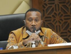 Otsus Papua Diusulkan Atur Kewenangan Pemerintah Kabupaten-Kota