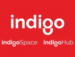 Indigo Lakukan Rebranding Setelah 8 Tahun Didirikan