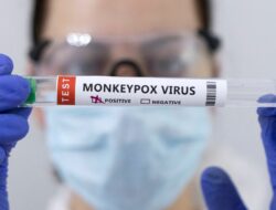 Apa Itu Monkeypox atau Cacar Monyet?