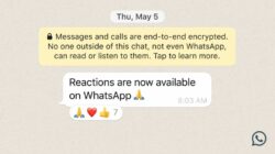 Fiture Reaction Chat Whatsapp