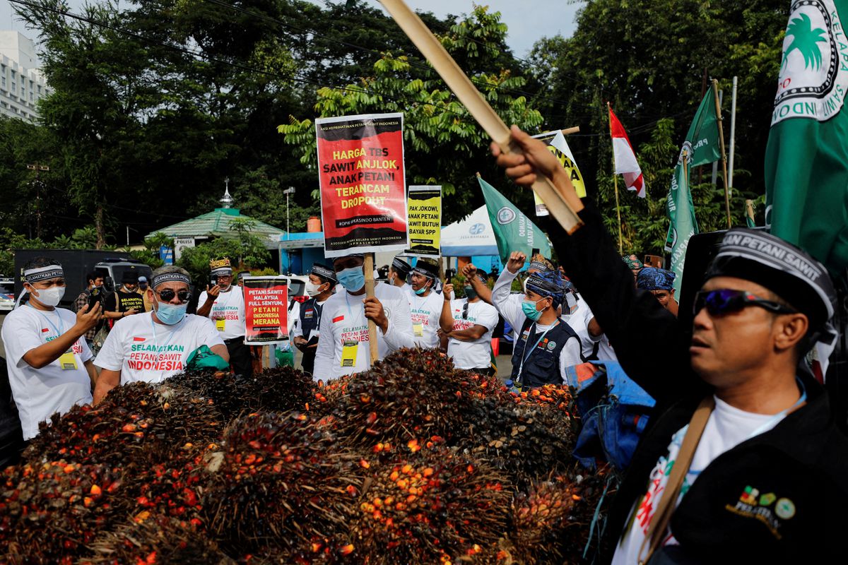 Indonesia Akan Memberlakukan Aturan Penjualan Lokal Ketika Ekspor Minyak Sawit Dimulai Kembali