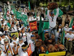 Petani Menggelar Protes Terhadap Larangan Ekspor Minyak Sawit