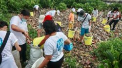 Kelola 250 Juta Botol Plastik, Tridi Oasis Ingin Indonesia Lebih Hijau