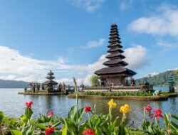 Yuk Intip Rekomendasi Aktivitas Keluarga Terfavorit di Bali