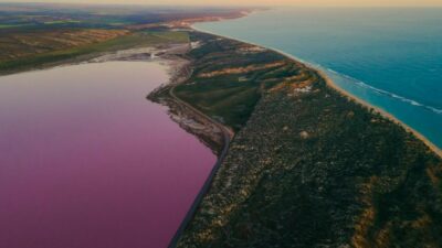 Wisata Pink Lake Australia Barat