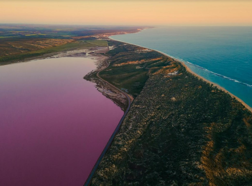 Wisata Pink Lake Australia Barat