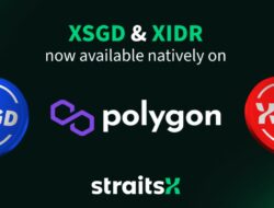 XSGD & XIDR (Polygon)