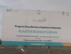 Kisah Petani Tambak Bandeng Binaan Desa BSI Aceh yang Berhasil Tembus Ekspor