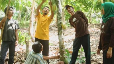 Kakao Komiditi Unggulan Indonesia