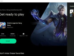 Google Play Beta PC