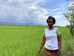 Gunakan Pendampingan Pandawa Agri Indonesia, Dua Petani Perempuan Ini Sukses Raup Panen Tinggi