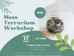 Moss Terrarium Workshop: A Complete Guide to Make Your Own Moss Terrarium