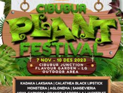 Cibubur Plant Festival: Menikmati Keanekaragaman Tanaman dan Buah-Buahan