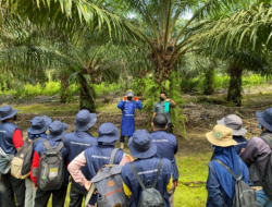 Kemitraan Kolaboratif antara Bunge dan Musim Mas: Peluncuran Program Smallholders Hub Perdana di Kalimantan
