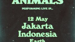Konser Glass Animals di Jakarta: Pengalaman Musik Indie Rock yang Tak Terlupakan