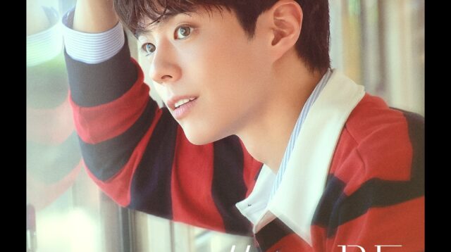 Detail Harga dan Penjualan Tiket Fan Meeting Park Bo Gum di Jakarta Diumumkan