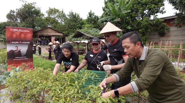 Dukung Ketahanan Pangan, Bank DBS Indonesia Gerakkan Urban Farming Bantu Komunitas Rentan