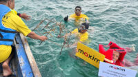 Dari Menanam Pohon hingga Konservasi Terumbu Karang, Maxim Rayakan Momen Kemerdekaan untuk Dukung Kelestarian Alam Indonesia