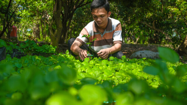 BSI Maslahat Dorong Ketahanan Pangan Pesantren Lewat Program Pesantren Sehat di Cilacap dan Jombang 