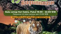Taman Margasatwa Ragunan Buka Program Malam “Night at Ragunanzoo” Mulai 11 Oktober 2025