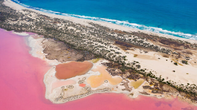 Jelajahi Uniknya Coral Coast di Australia Barat, dari Pinnacle Desert sampai Pink Hutt Lagoon