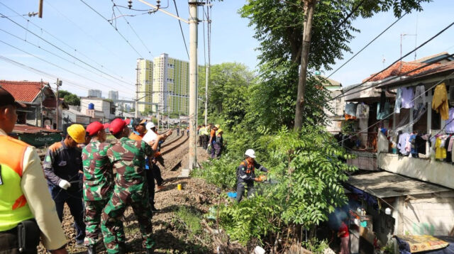 KAI Daop 1 Jakarta Catat Enam Kejadian Pohon Tumbang Sepanjang 2025, Seluruhnya Berhasil Ditangani dengan Cepat