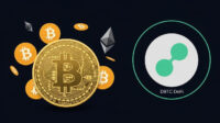 DBTC DeFi Review: A Structured Approach to Bitcoin and Crypto Participation in 2026