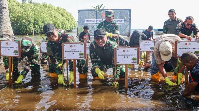 Dukung Pelestarian Pesisir, Kogabwilhan III Tanam 1.000 Mangrove di Pantai Gambesi