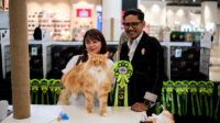 Imlek Dimulai Dengan Cara yang Lebih Meowgic di Grand Galaxy Park Bekasi