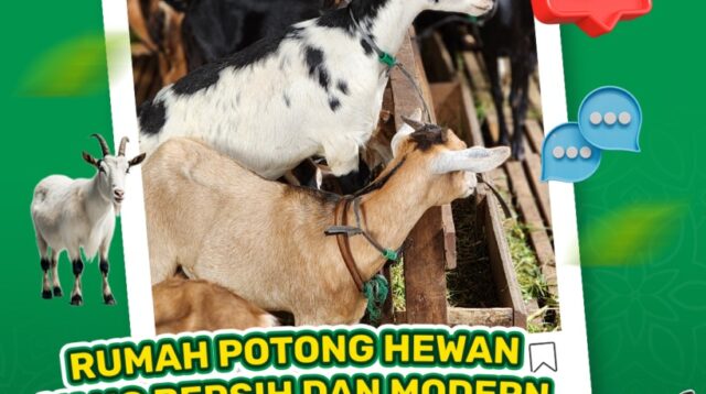 Jasa Aqiqah Syariat di Palembang yang Praktis dan Terpercaya: Solusi Keluarga Muslim Modern