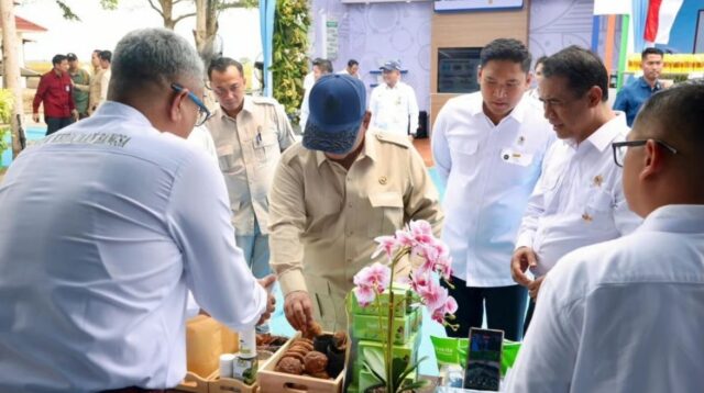 Presiden Dorong Hilirisasi Gambir, PTPN Group Siap Perkuat Nilai Tambah Komoditas Rakyat
