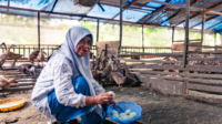 Menenun Asa dari Kandang Itik: Kisah Hasna Bersama BSI Maslahat