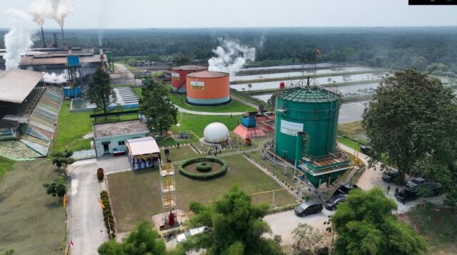 ROA PalmCo Tembus 7,9 Persen, Sinyal Penguatan Kinerja Aset Holding Perkebunan Nusantara