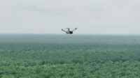Teknologi Drone Thermal untuk Mencegah Kebakaran di Perkebunan Luas