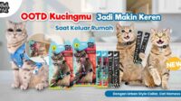 Distributor Pet Care PT Olego Mandiri Indonesia Perluas Pasar Produk Hewan Peliharaan