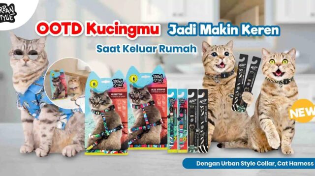 Distributor Pet Care PT Olego Mandiri Indonesia Perluas Pasar Produk Hewan Peliharaan